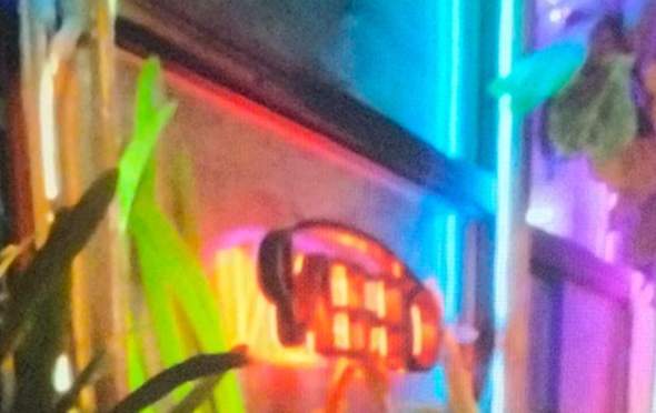 Bild zum Beitrag