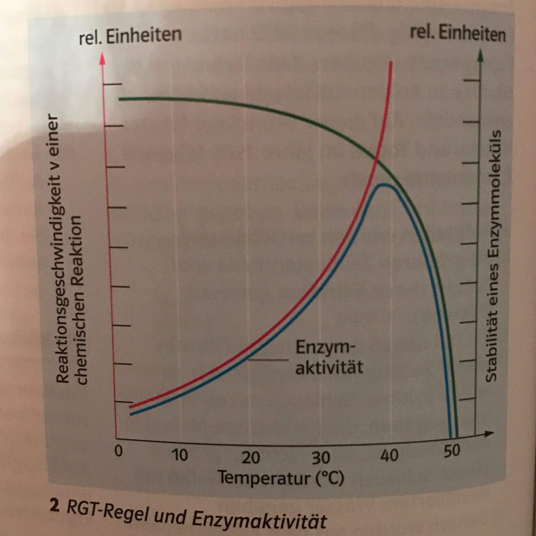 RGT Regel Und Enzymaktivit t Biologie Bio RGT Regel Und Enzymaktivit t Biologie Bio
