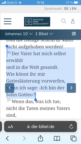 Richtige Bibelübersetzung? (Christentum, Gott, Bibel)