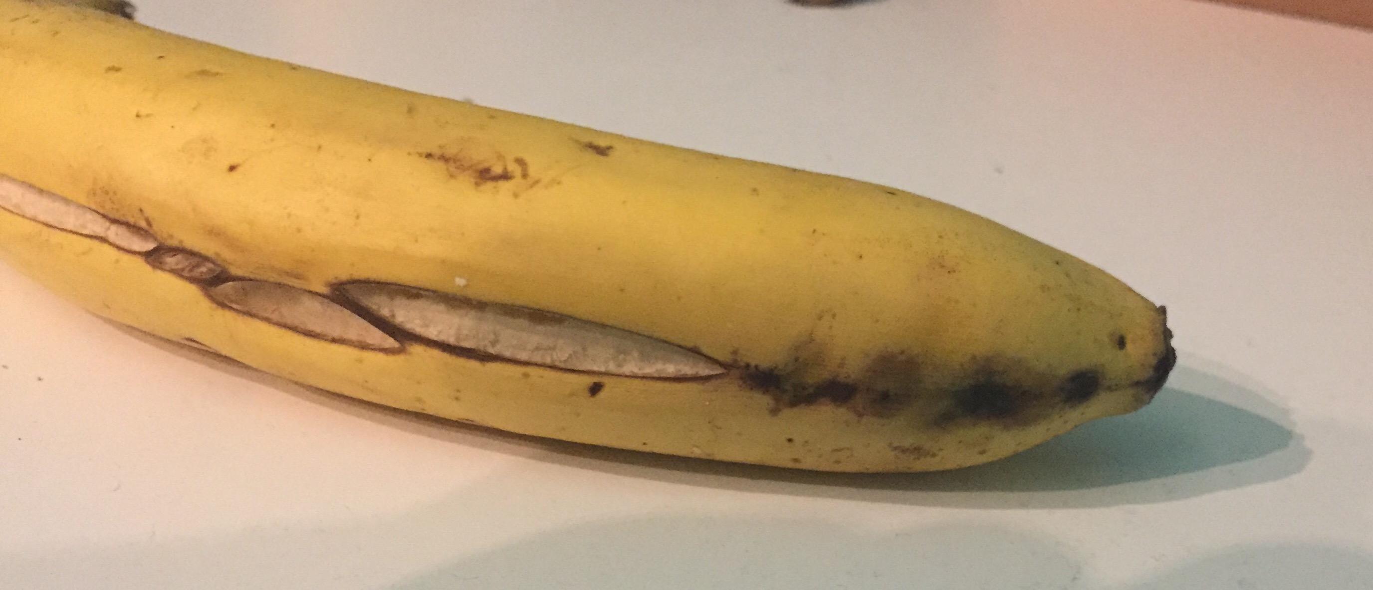 Riss In Der Banane Bananenspinne Tiere Obst Spinnen