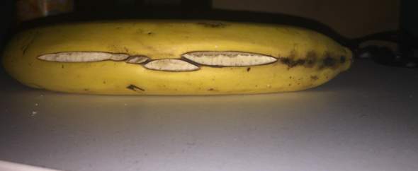 Riss In Der Banane Bananenspinne Tiere Obst Spinnen