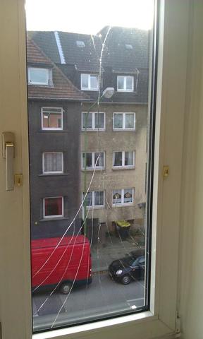 Fenster rechts - (Wohnung, wohnen, Schaden)