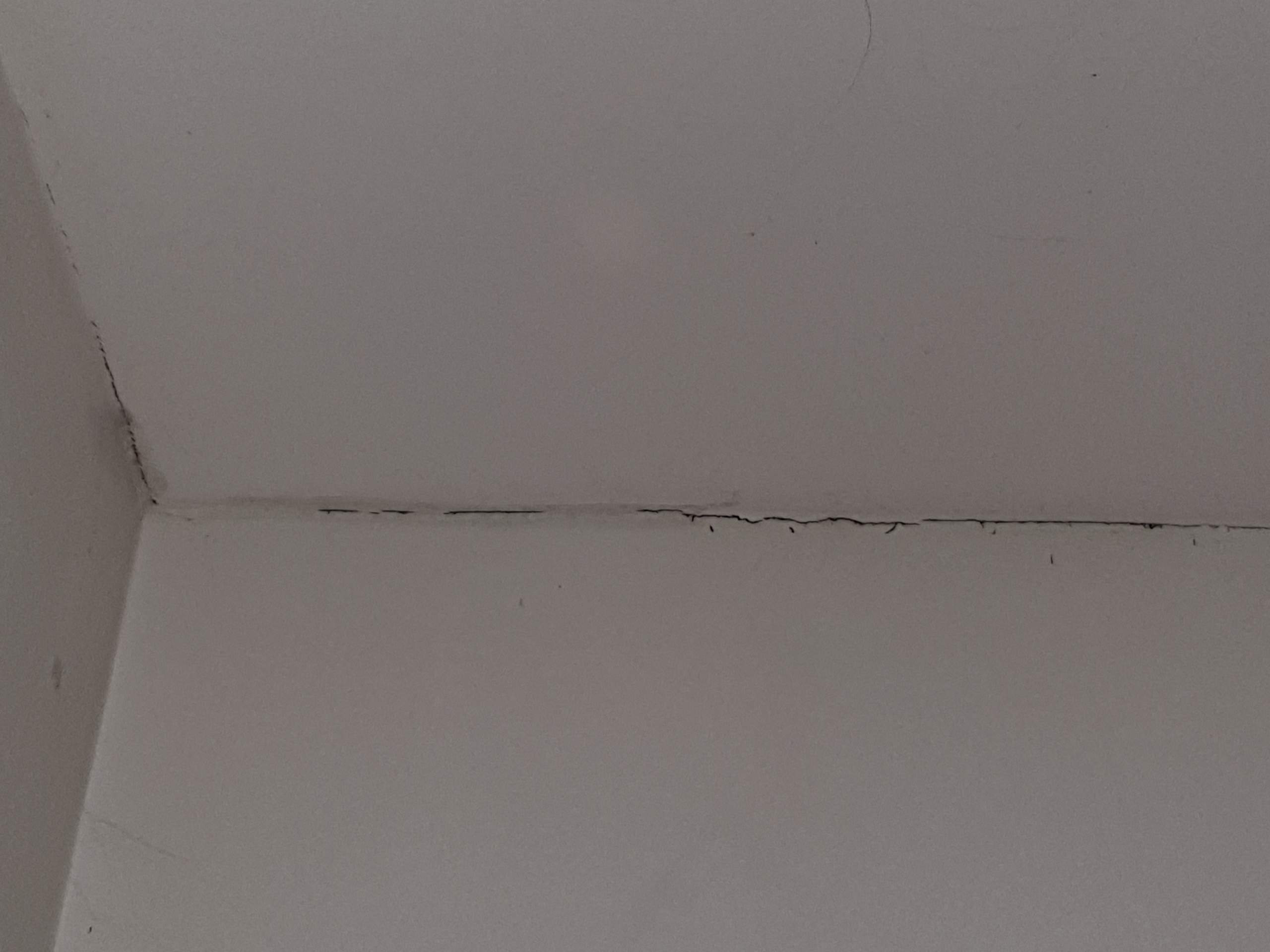 Risse an der Decke gefährlich? (Technik, Mietwohnung, Risse in Wand)