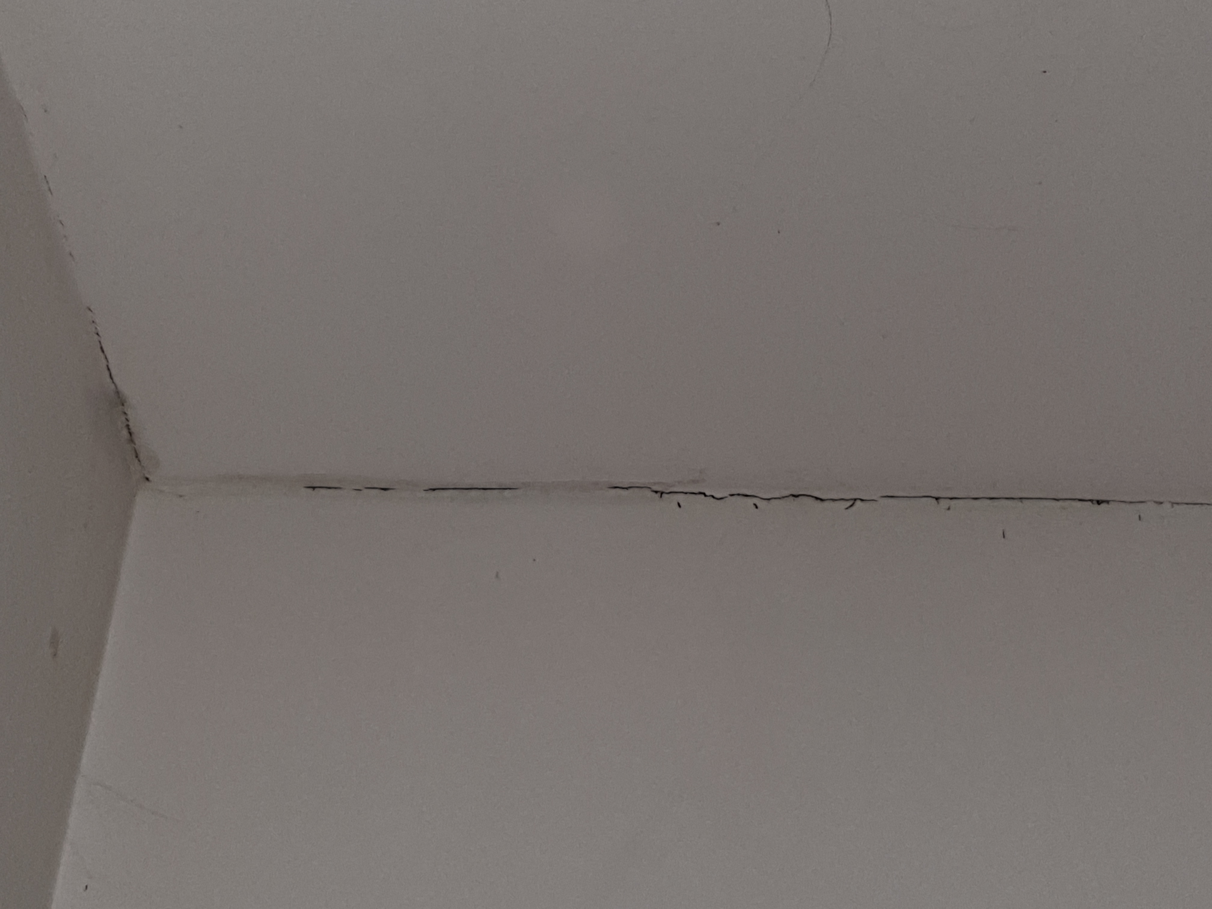 Risse an der Decke gefährlich? (Technik, Mietwohnung)