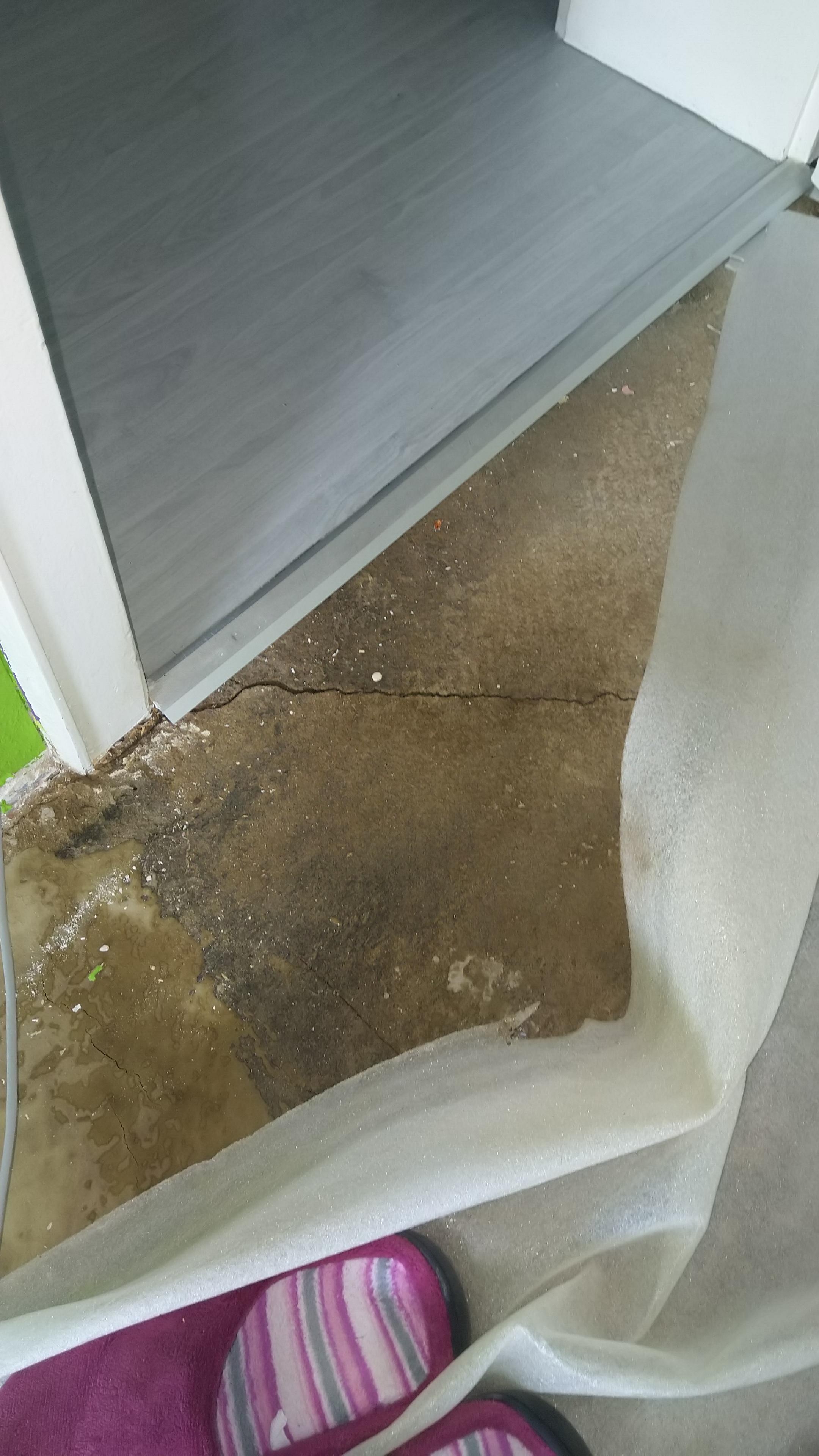 Risse Im Boden Computer Wohnung Haus