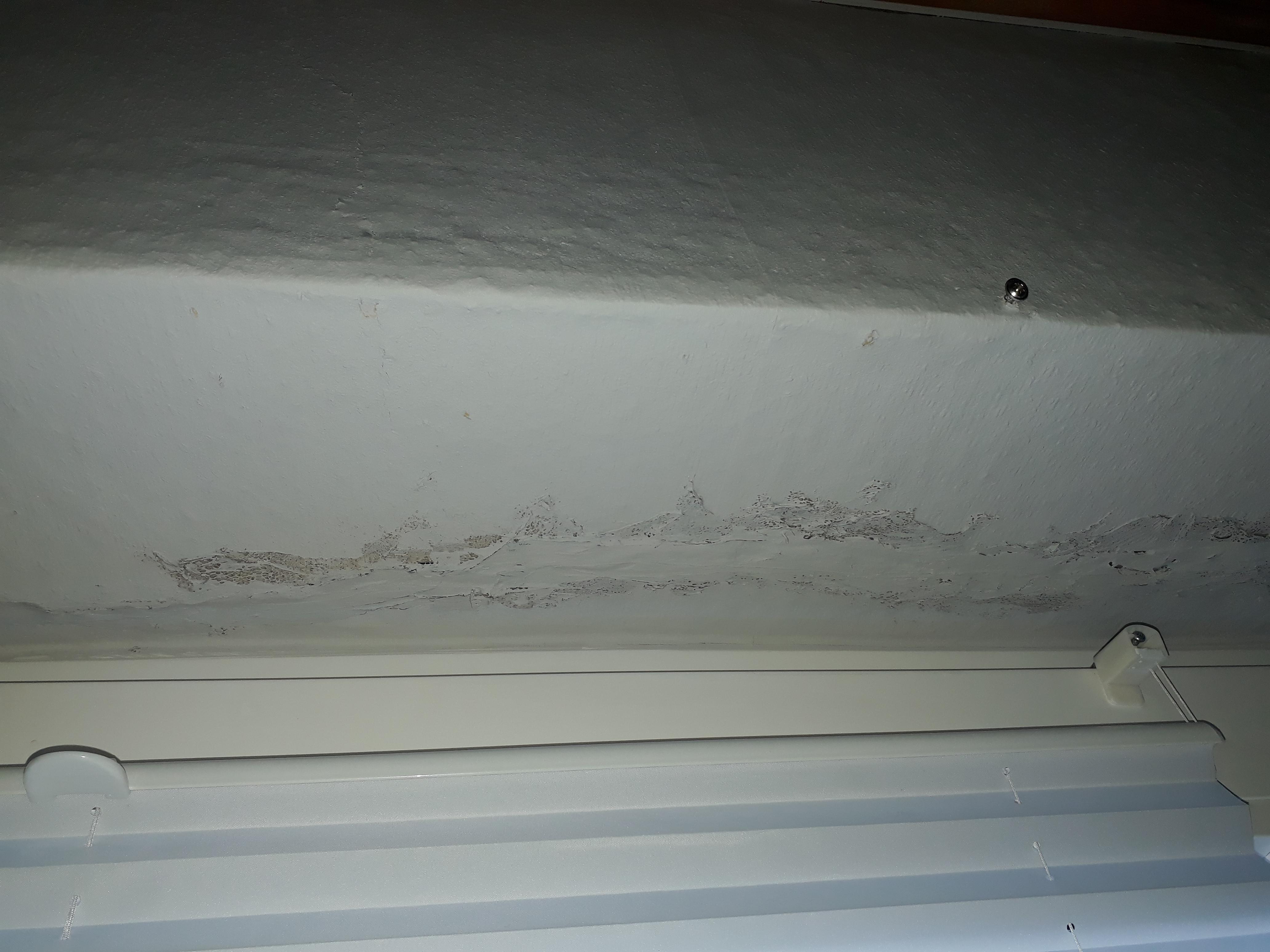 Risse im Mauerwerk/Fenstersturz,was tun?Welche Rechte/Möglichkeiten? (Haus)