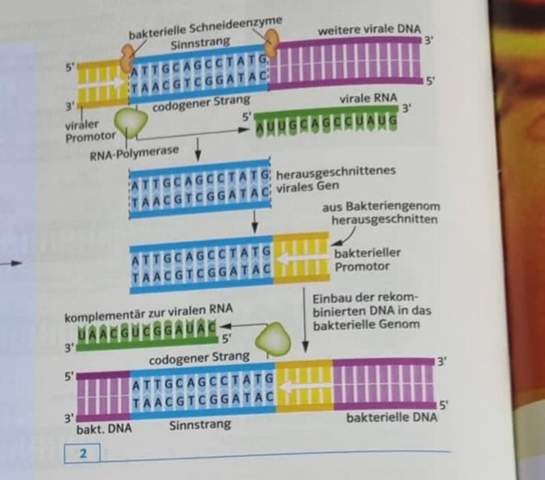 Bild zum Beitrag