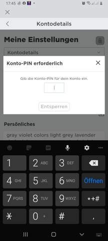 Roblox Konto pin zurücksetzen? (Computer, Handy, Spiele und Gaming)