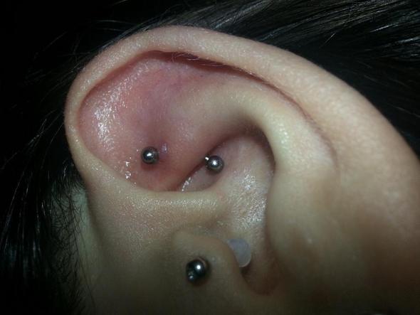 Rook Piercing? 