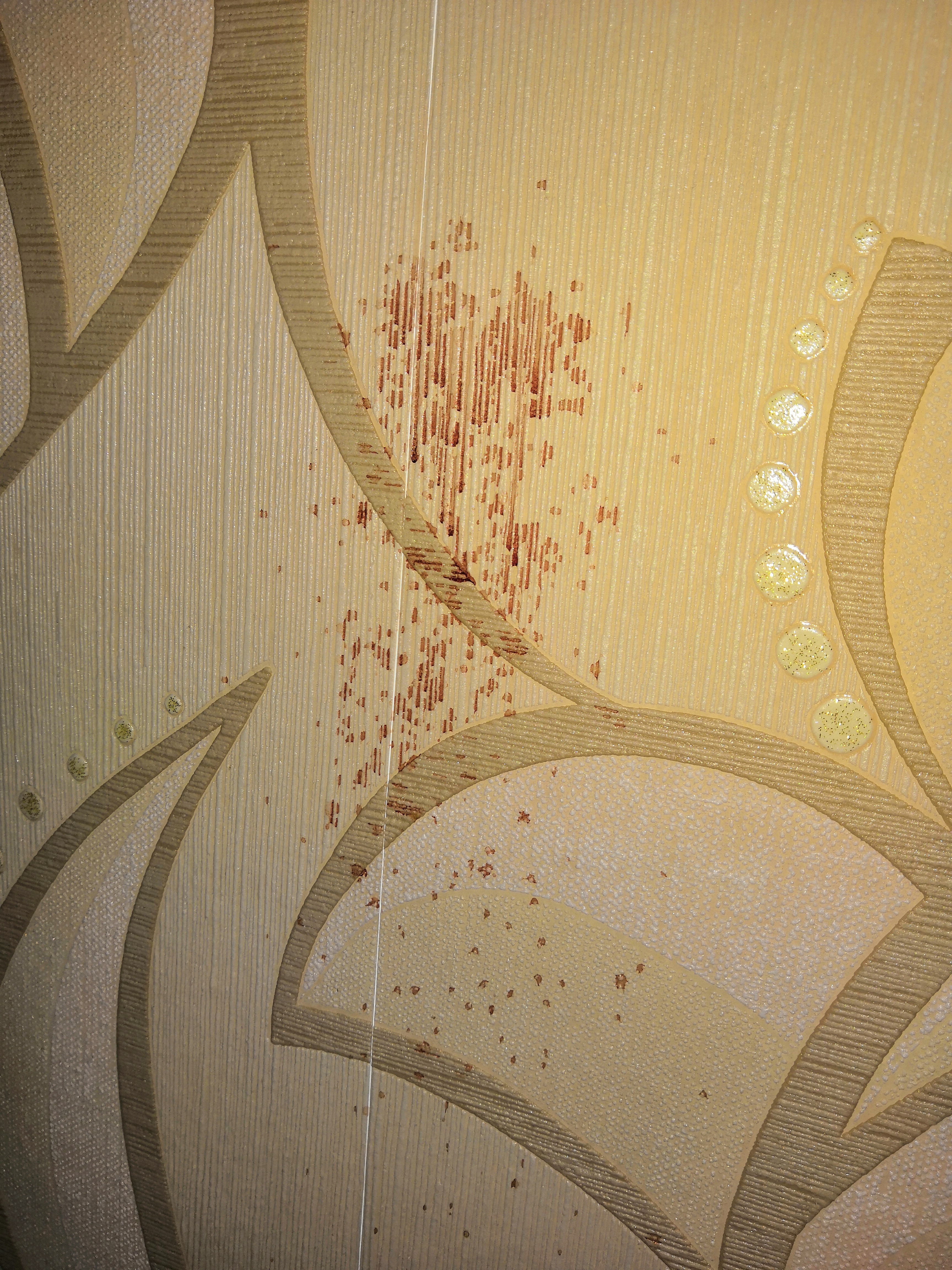 Rote Flecken An Den Wanden Wohnung Insekten Schimmel