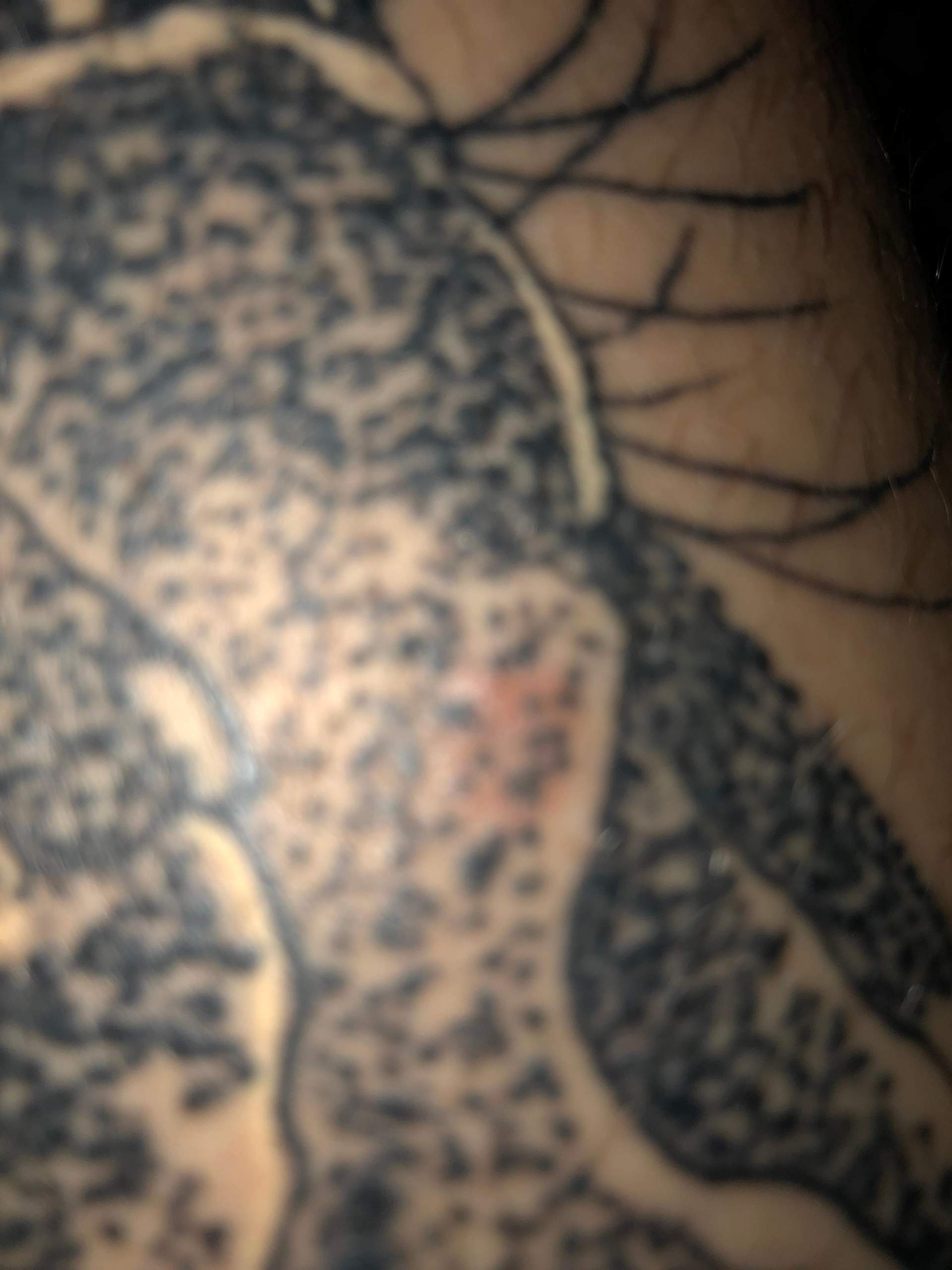 Rote Flecken auf Tattoo nach ca. 1,5 Wochen nach den stechen? (Gesundheit und Medizin, Tattoopflege)
