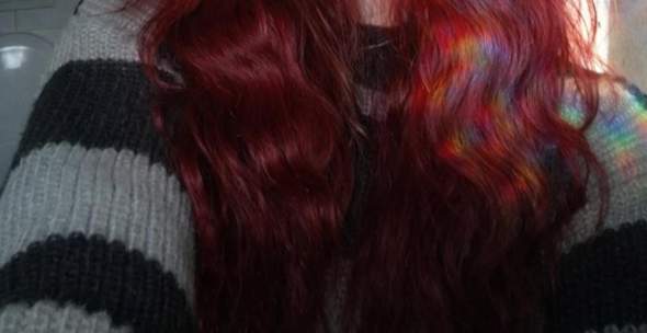 Bild zum Beitrag