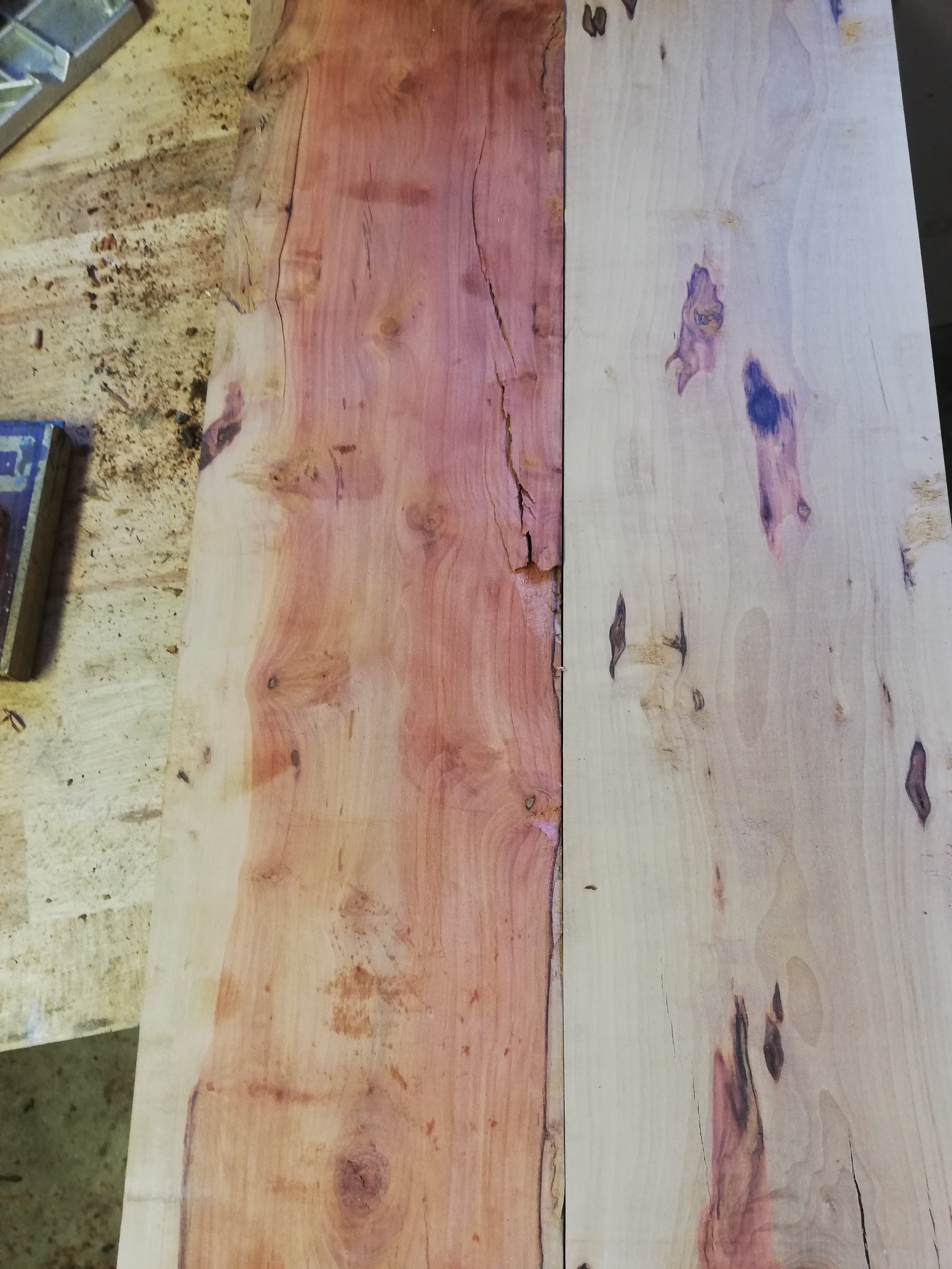 Rotes Holz Welche Baumart Holzart