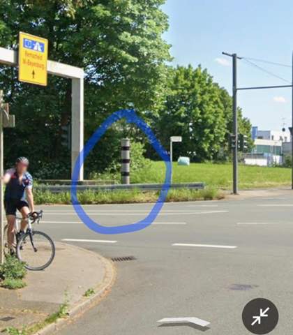 Bild zum Beitrag