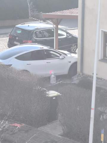 Bild zum Beitrag