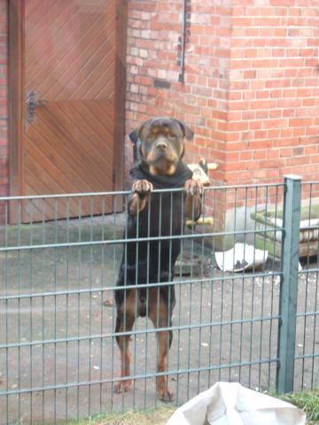 Lärmbelästigung in der wohnung Lärmbelästigung in der wohnung