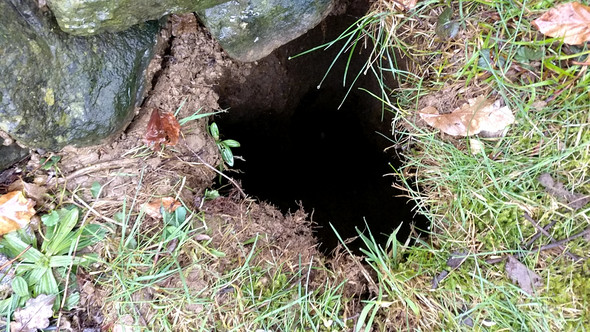 Rundes, 30 cm breites und 2m tiefes Loch im Garten?