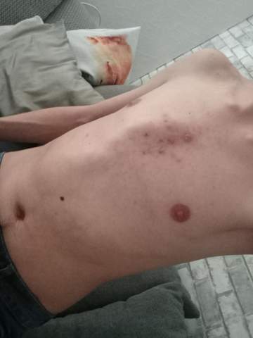 Bild zum Beitrag