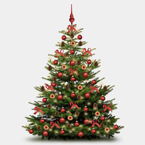 Sagt ihr Christbaum, Weihnachtsbaum oder Tannenbaum?