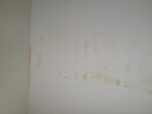 Salpeter Oder Schimmel An Der Wand Mit Bildern Gesundheit Wohnung Haus