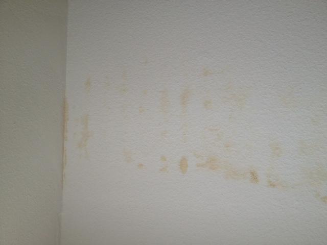 Salpeter oder Schimmel an der Wand (mit Bildern)? (Gesundheit, Wohnung