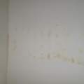 Salpeter oder Schimmel an der Wand? (mit Bildern ...