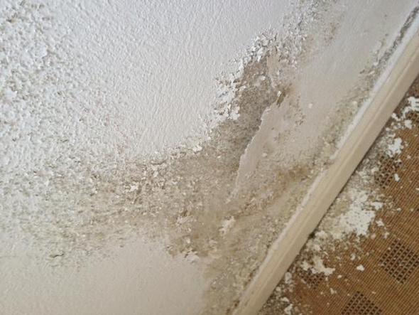 Salpeter Oder Schimmel An Der Wand Mit Bildern Gesundheit Wohnung Haus