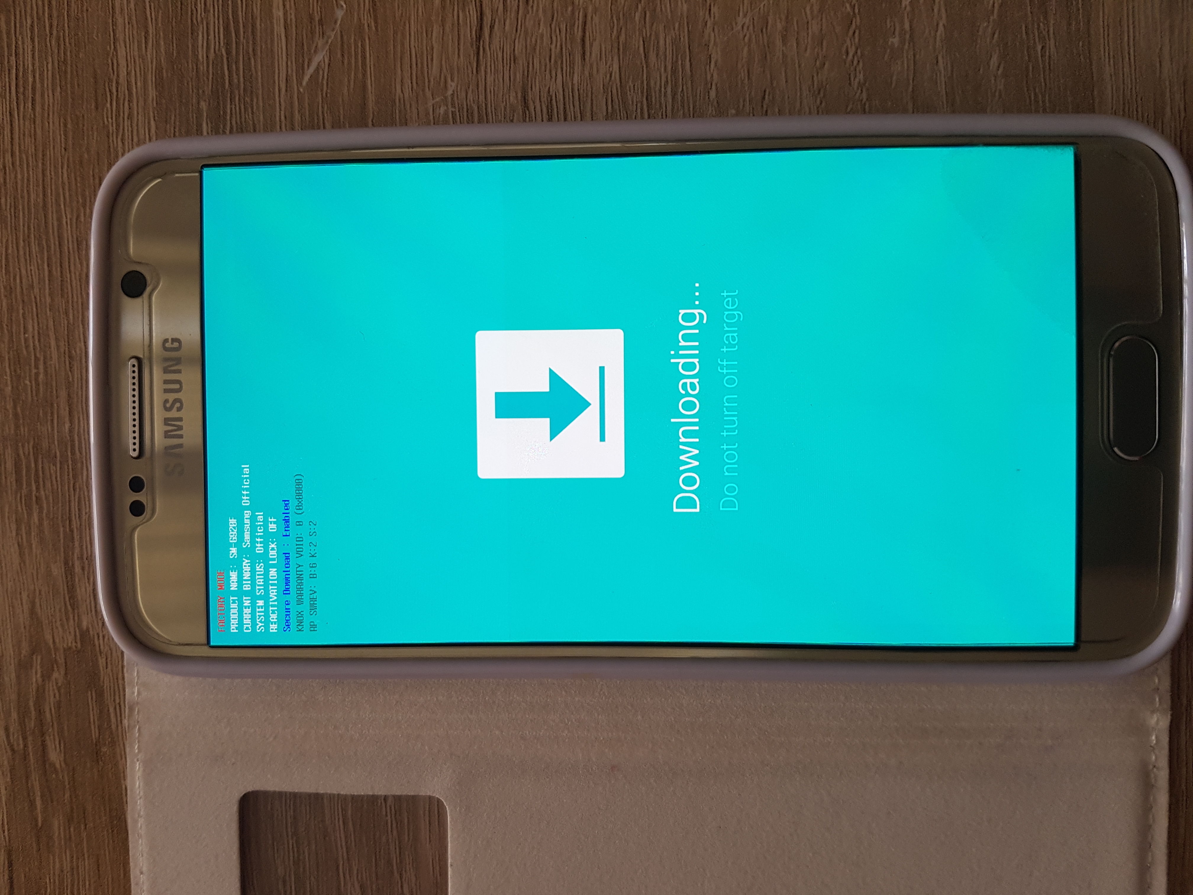 Samsung galaxy s6 blauer bildschirm mit download drauf? (Handy)