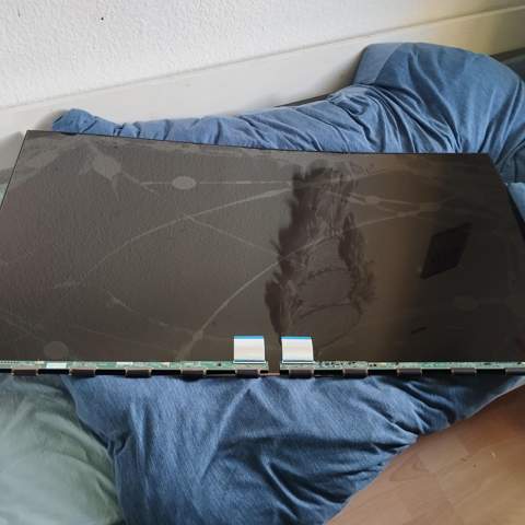 Bild zum Beitrag