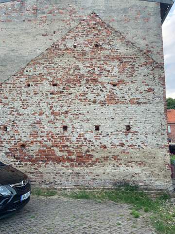 Bild zum Beitrag