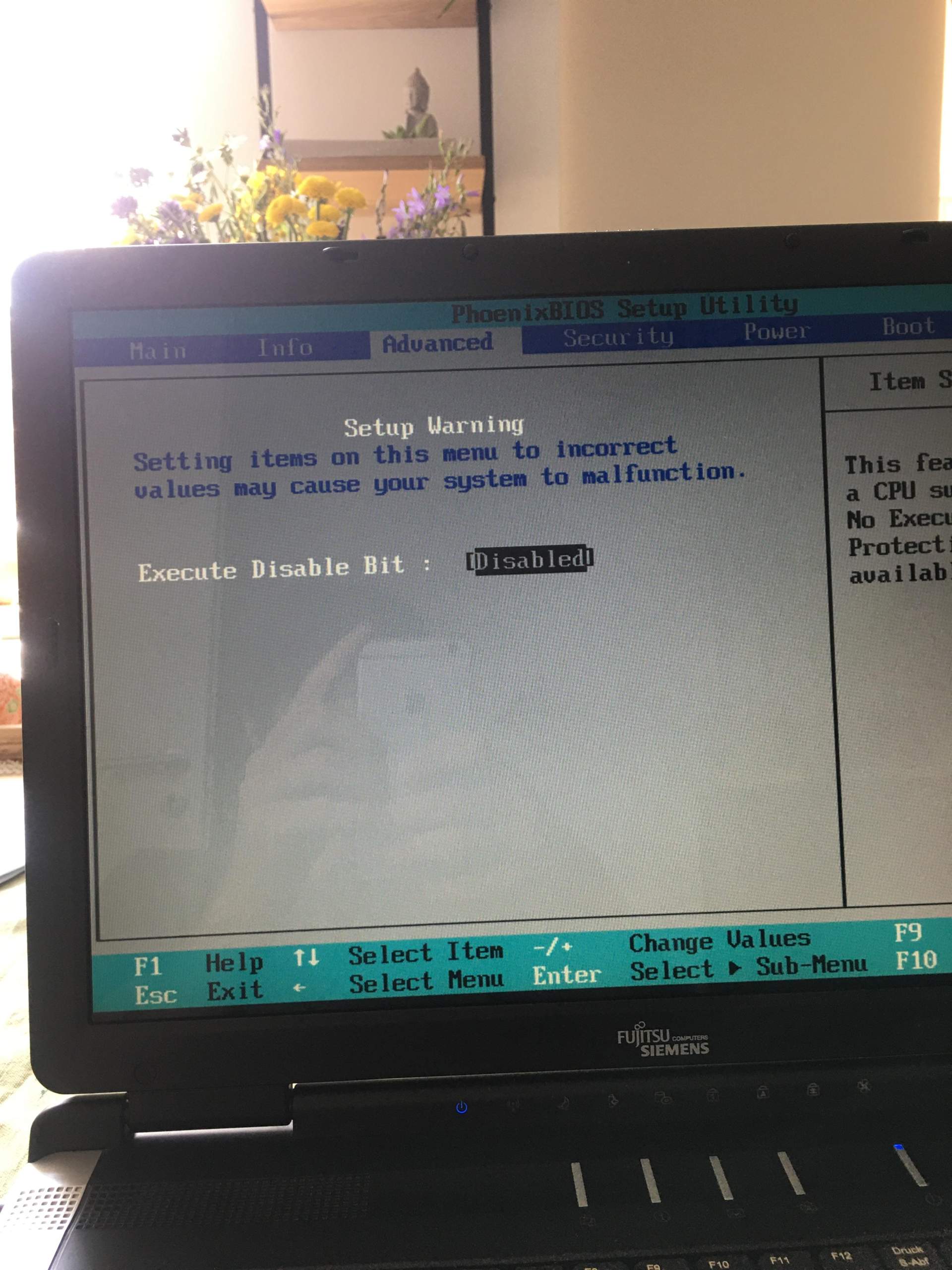 SATA Option wird im BIOS nicht angezeigt? (Windows, Microsoft, IT)