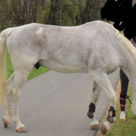 Was soll ich jetzt sagen Was soll ich jetzt sagen