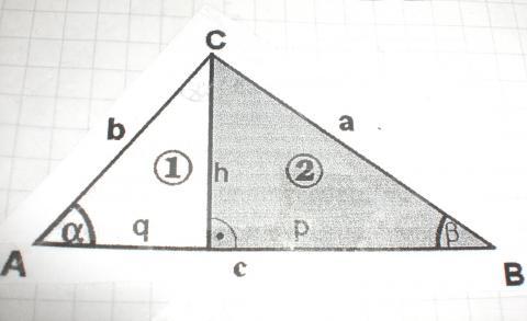 Dreieck in zwei Teildreiecke (1) und (2) zerlegt - (Mathematik, Geometrie, Dreieck)