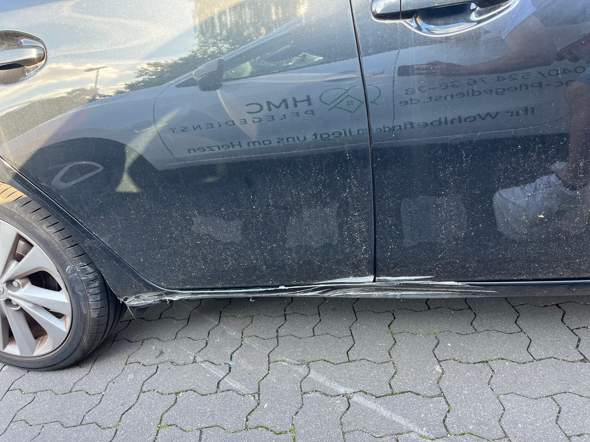 Bild zum Beitrag