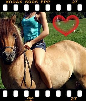 (: - (Pferde, reiten, ohne sattel)