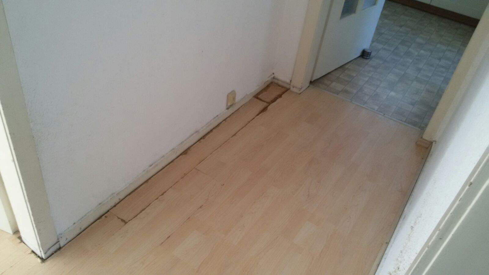 Schäden durch Katzenurin auf PVC und Laminat..muß ich