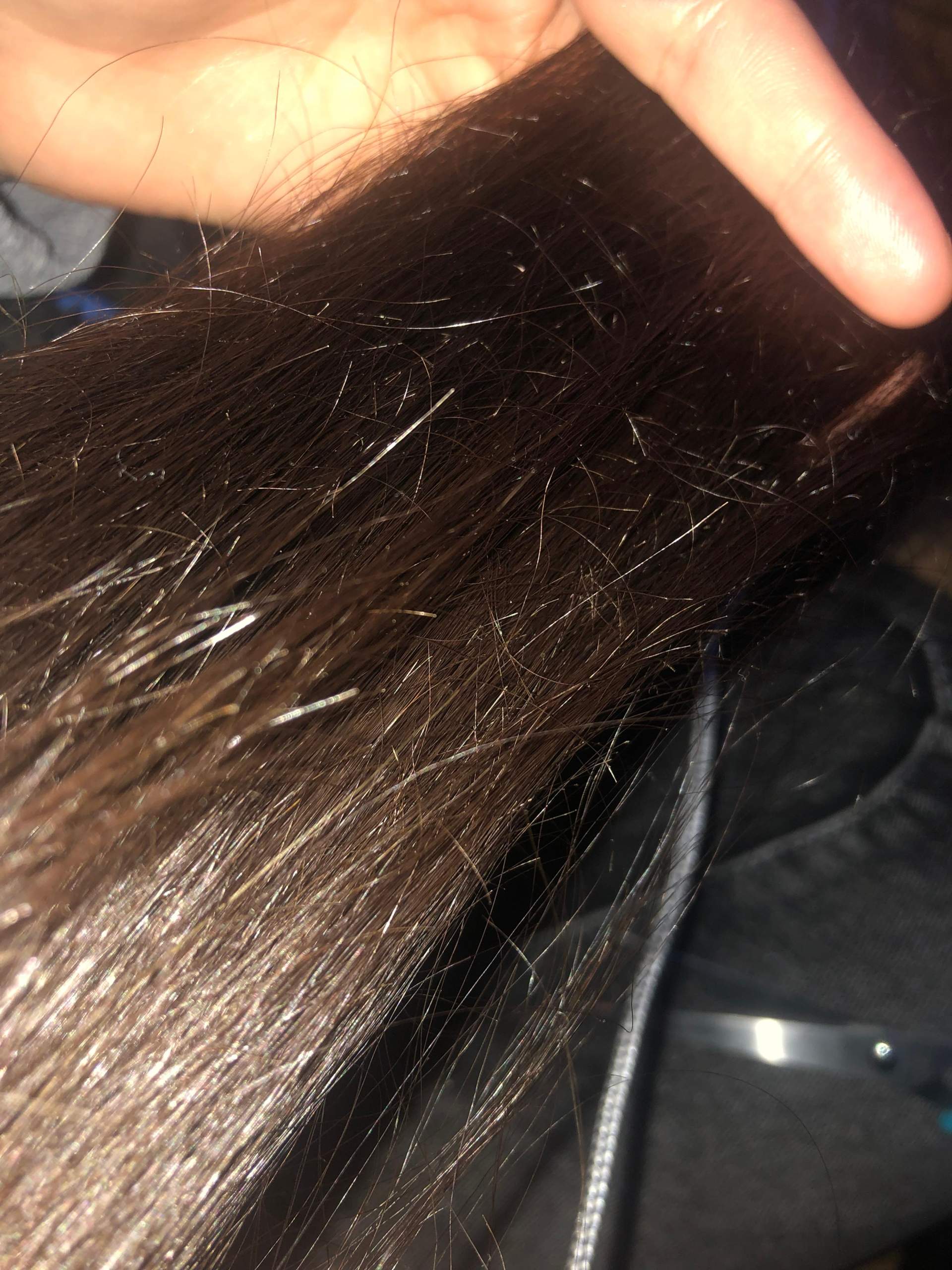 Was Kann Man Gegen Abstehende Haare Machen Scheidet man diese kleine abstehende Haare weg? (Frauen, Aussehen, Style)