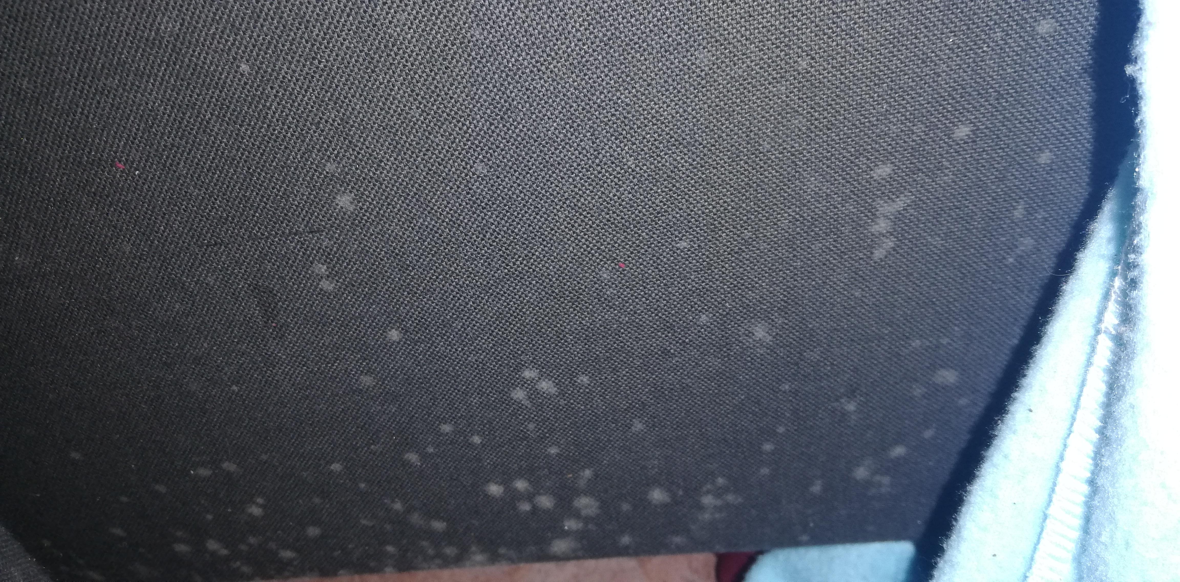 42+ nett Bilder Schimmel Wohnung : Schimmel in der Wohnung entfernen: So bekämpfst Du ... - Daher sollte man bei schimmelbefall nicht lange zögern, sondern das problem sofort angehen. 42+ nett Bilder Schimmel Wohnung : Schimmel in der Wohnung entfernen: So bekämpfst Du ... - Daher sollte man bei schimmelbefall nicht lange zögern, sondern das problem sofort angehen.