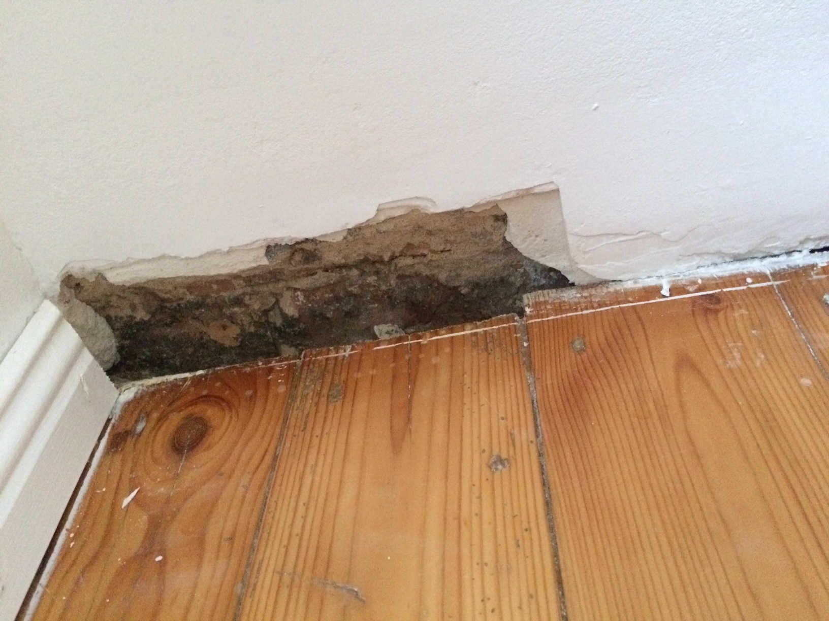 Schimmel an Außenwand? (Gesundheit, Gutachten)