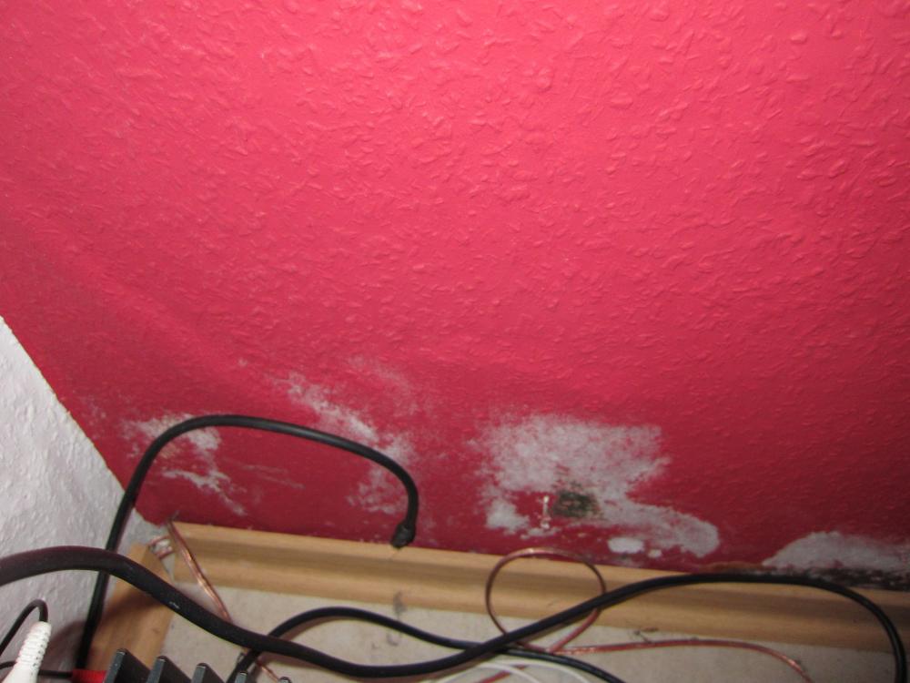 Apple wand Apple wand