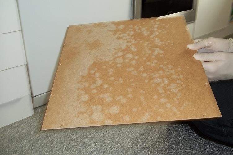 Schimmel an der Schrankrückwand! (Lüften)