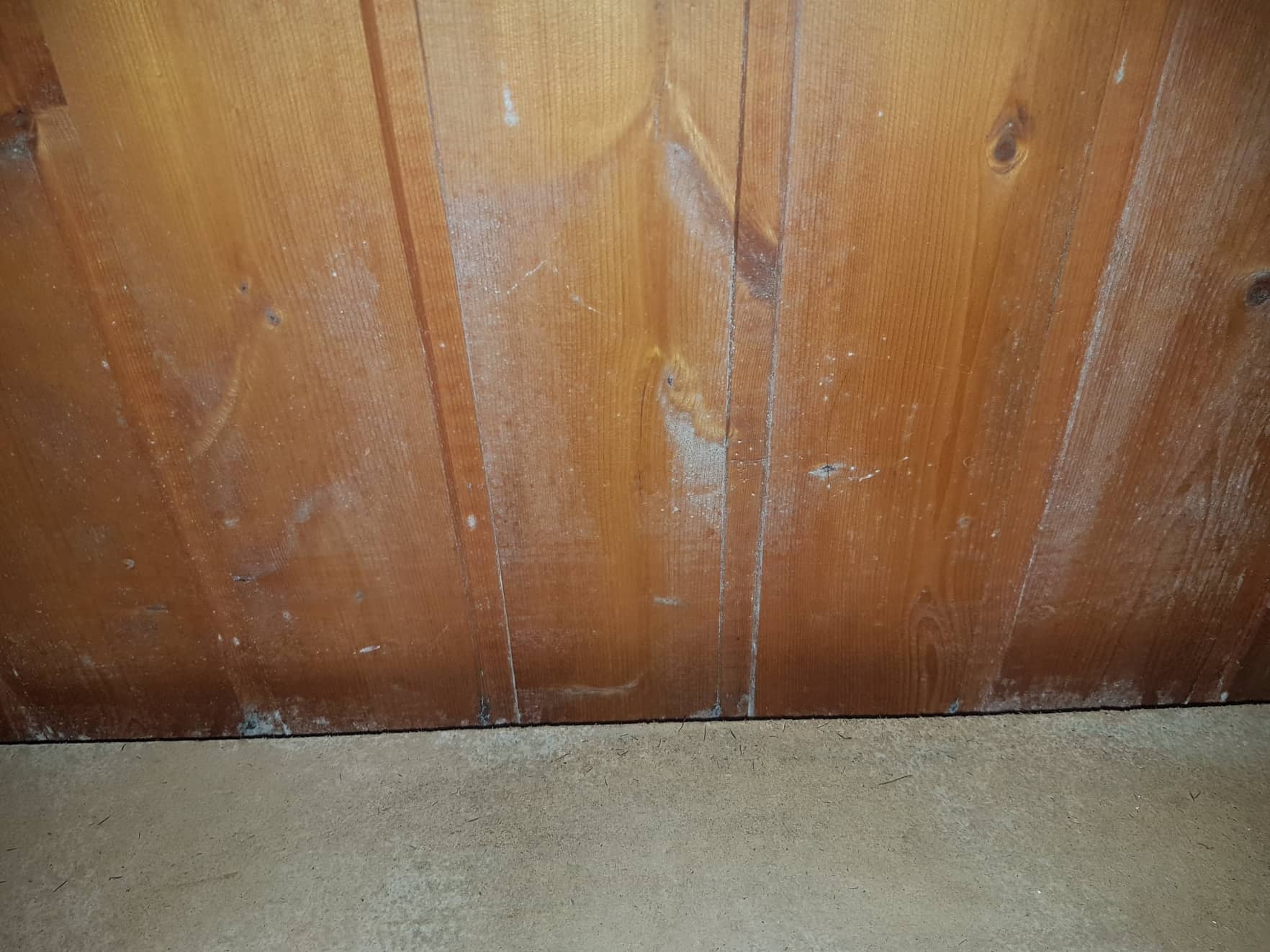 Schimmel An Holzwandverkleidung Oder Nicht Handwerk Holz Wand