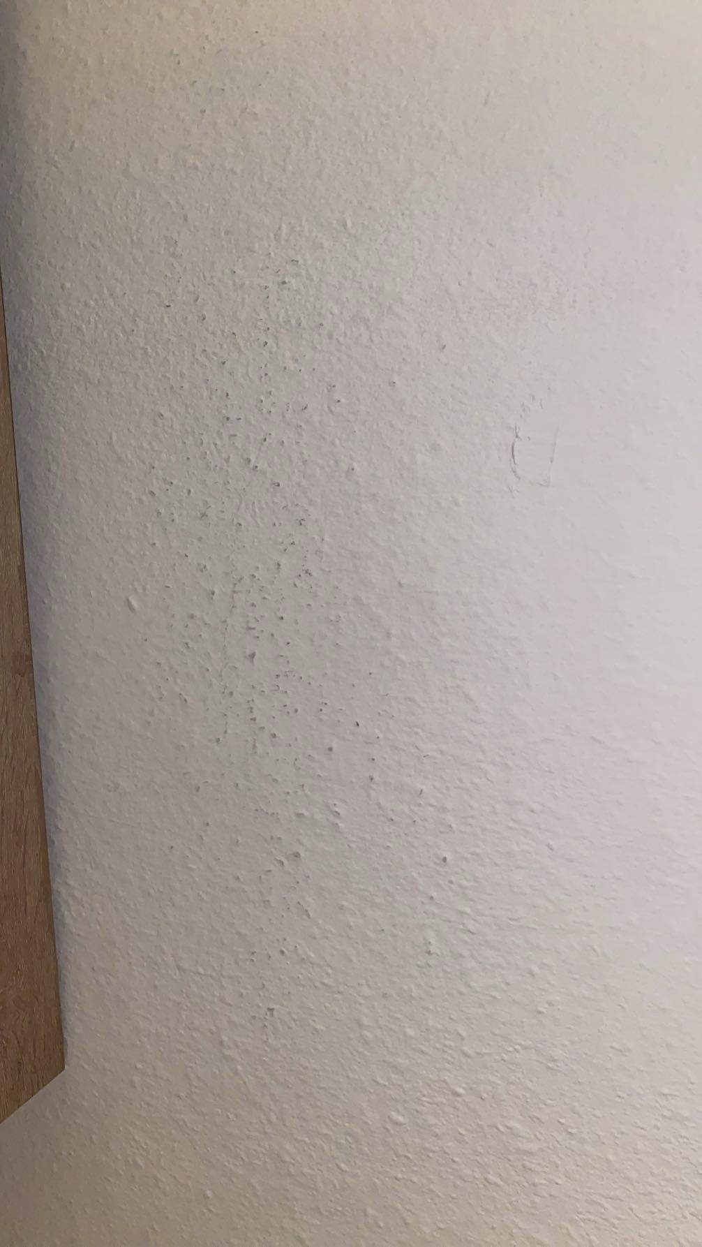Schone Schimmel Auf Raufasertapete Bilder