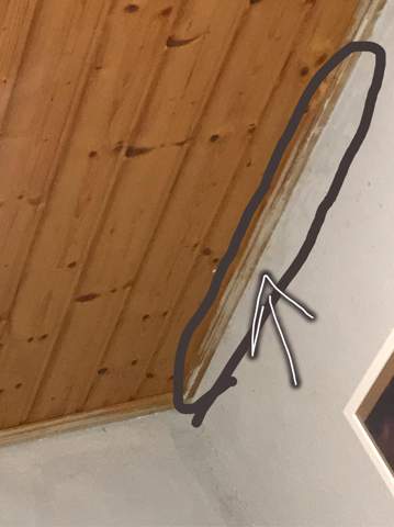 Schimmel An In Der Decke Bauschaden