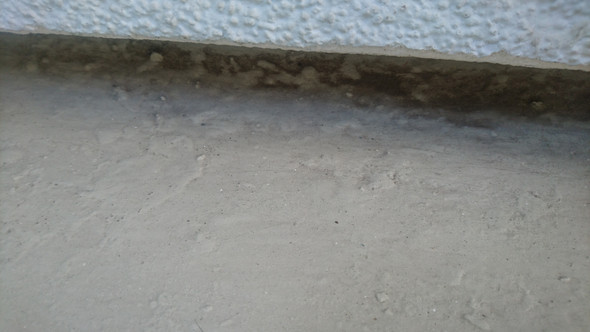 Schimmel Auf Balkon Wohnung