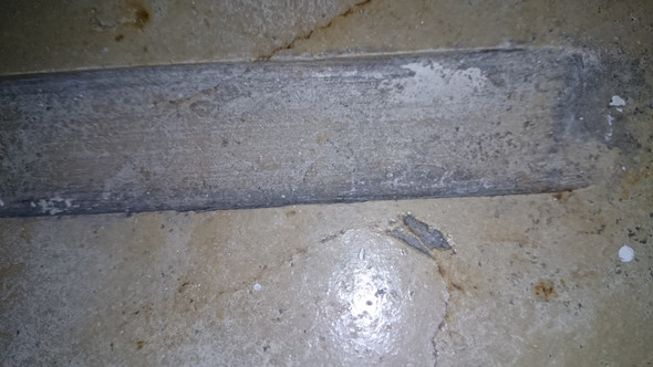 Schimmel Auf Der Fensterbank Wohnung Verfarbung Schimmelpilz