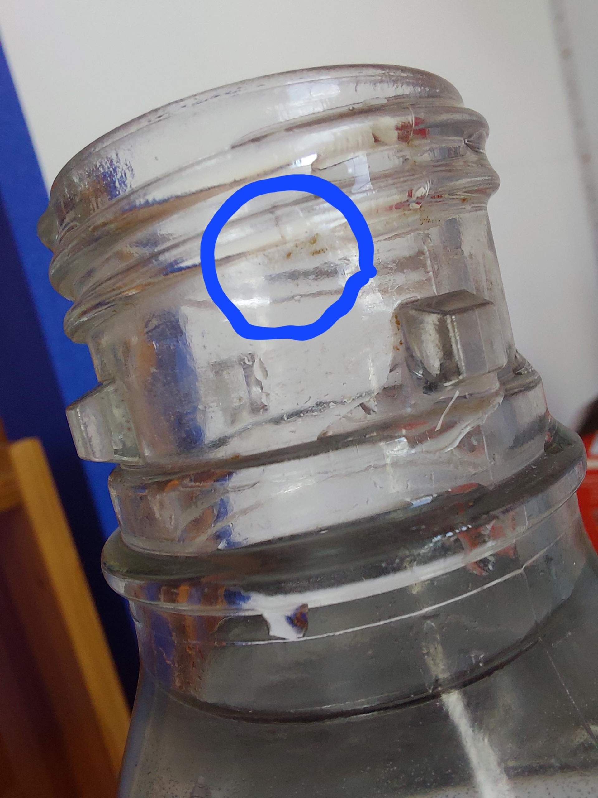 Schimmel Aus Flasche Entfernen