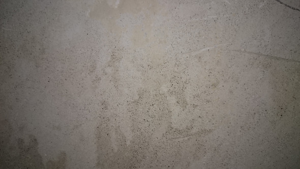 Schimmel Auf Mauer Putz Schimmelbefall