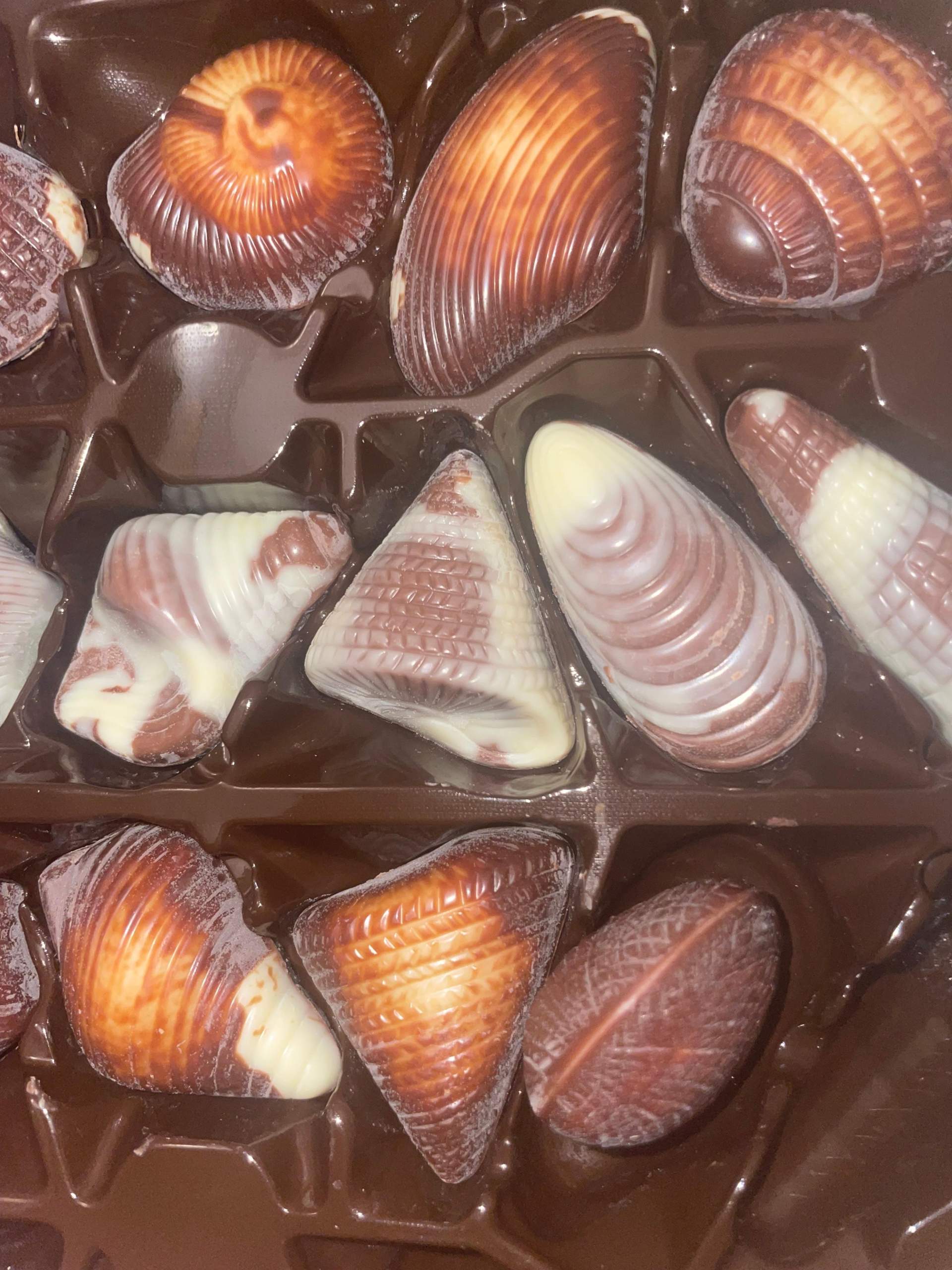 Schimmel auf Schokolade? (Haltbarkeit, Mindesthaltbarkeitsdatum) Schimmel auf Schokolade? (Haltbarkeit, Mindesthaltbarkeitsdatum)