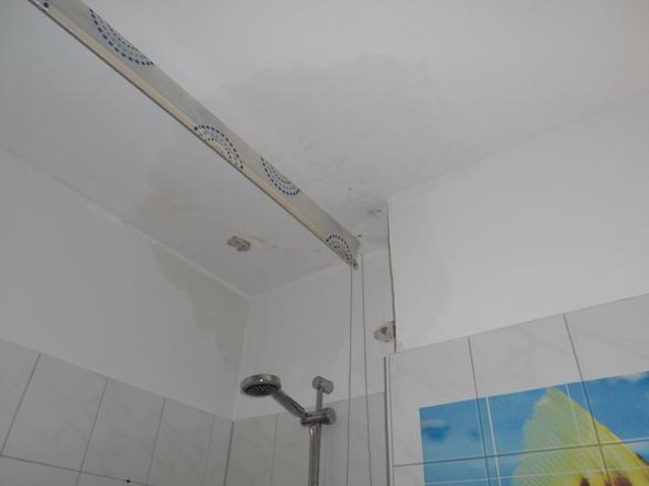 Schimmel Durch Wasserschaden Was Nun Mietminderung